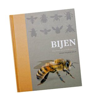 Bijen, hun leven en rol in de natuur (Noah Wilson)