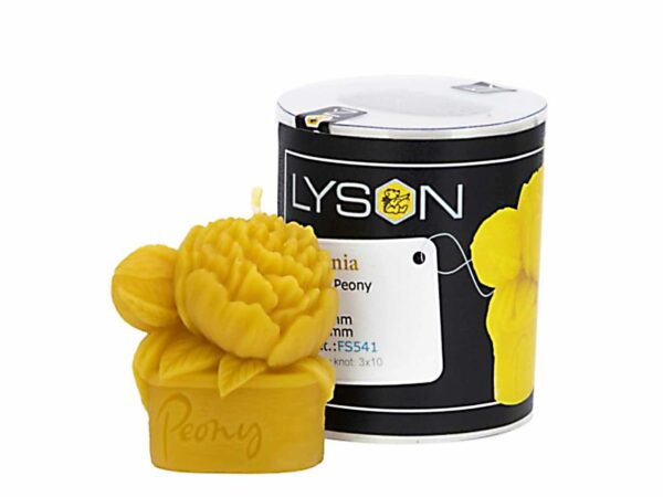 Lyson kaarsen gietvorm – Pioenroos – hoogte 7 cm [FS541]